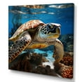 thumbnail image 2 of Designart "Inquisitive Marine Turtle I" Animals Turtle Canvas Prints, 2 of 7