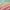 Aqua, variant on Intelligent Design Full/Queen Comforter Set, Shaggy Faux Fur Wave Warm Bedding Set, 3-Piece Striped Ombre Design Warm Comforter Bed Set, Blush
