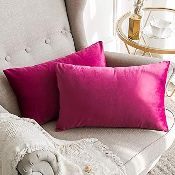 Eryueer Velvet Soft Soild Microfiber Decorative Square Pillow Case Throw Cushion Cover for Sofa Bedroom with Invisible Zipper Rose 12"x20",2 Pieces