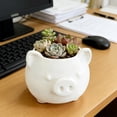 thumbnail image 5 of VAIFTILNO Pig Planter Pot, Cute Succulents Pot with Drainage Hole for Indoor, Outdoor Plants, Home Decor Gift (More Colors), 5 of 6