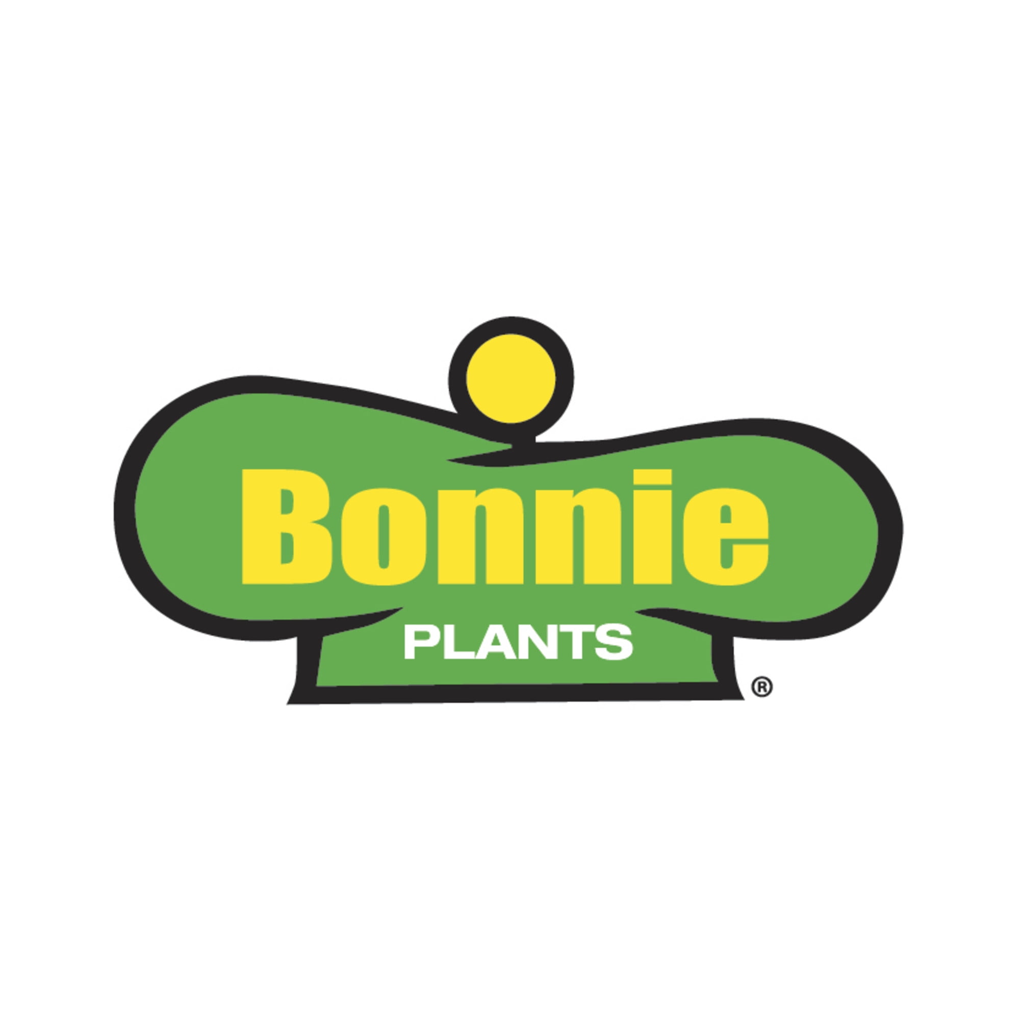 Bonnie Plants Little Sicily Organic Globe Tomato 4.5