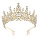thumbnail image 1 of 1 Uds Diadema de cristal dorado Unique Bargains Tiara elegante con peines para mujeres y niñas, 1 of 7