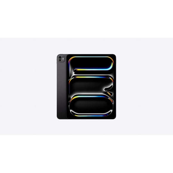 APPLE - IPAD PRO 13 WF CL 256GB M14