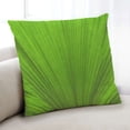thumbnail image 1 of Ahgly Company Color Focus Green Indoor Throw Pillow, 18 inch by 18 inch, 1 of 6