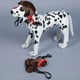 thumbnail image 5 of Peluca de mascota para gatos y perros Divertido accesorio para el pelo para looks graciosos y simpáticos, 5 of 8