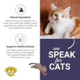 thumbnail image 4 of Dr. Elsey's® cleanprotein Protein Bites Chicken Flavor Crunchy Treats for Cats, 12 oz Pouch, 4 of 7