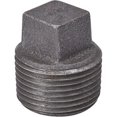 thumbnail image 1 of B & K 521-804HN 0.75 in. Black Pipe Plug, 1 of 1