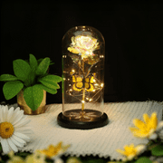 Qoosea Glass Rose Artificial Flowers with LED Lights Eternal Rose with Butterfly in Glass Dome Gifts for Valentine's Day Birthday Mother's Day Christmas