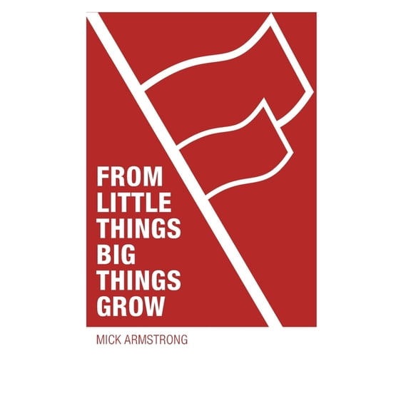 From little things big things grow: Strategies for building revolutionary socialist organisations, (Paperback)