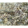 thumbnail image 2 of Hornel, Edward Atkinson 14x12 White Modern Wood Framed Museum Art Print Titled - Gathering Blossom, 2 of 4