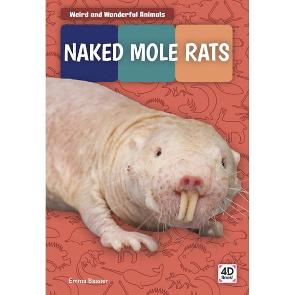 Naked Mole Rats (Paperback)