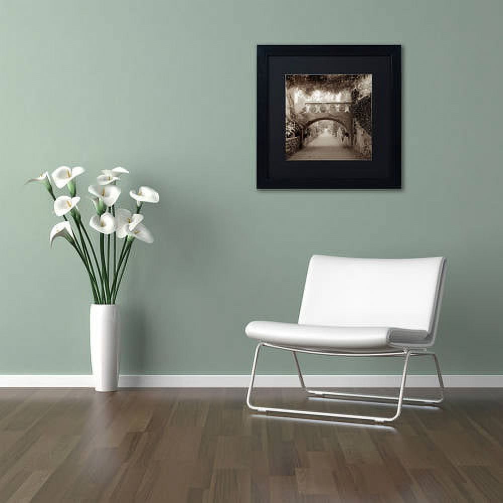 Trademark Fine Art "Giardini Italiano VI" Canvas Art by Alan Blaustein, Black Matte, Black Frame