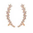 thumbnail image 1 of Heliisoer Personality Earrings Leaves Beautiful Diamond Earrings, 1 of 1
