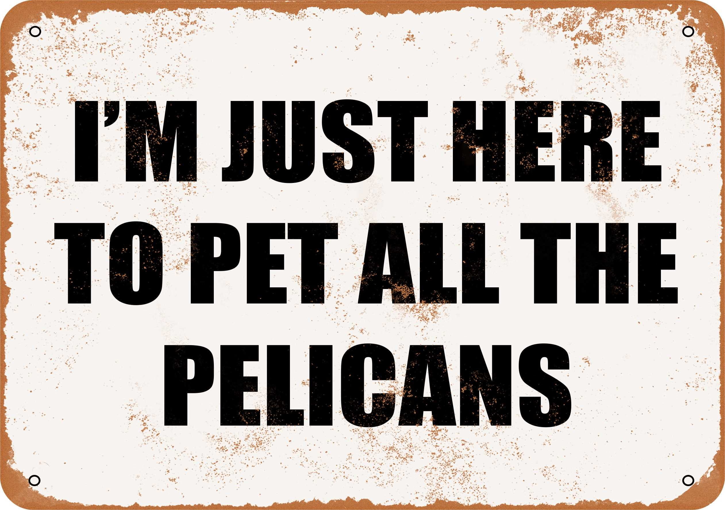 I/'m Just Here To Pet All The Pelicans Vintage Look Metal Sign or Matted Print for 11x14 Frame