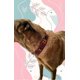 thumbnail image 5 of Collar Para Perro / Gato Artesanal Macramé A Mano Chico, 5 of 6