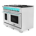 thumbnail image 5 of 48 in. Vista Collection 6.6 cu. ft. Double Oven Gas Range in Stainless Steel, 5 of 13