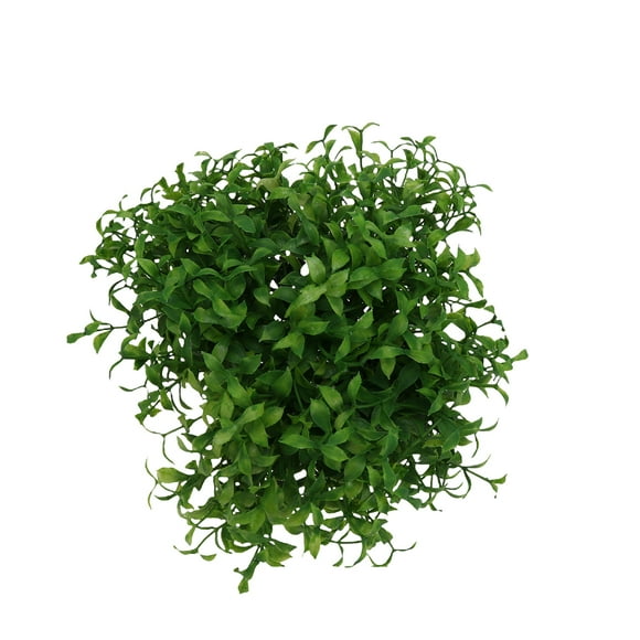 12Pcs Simulación Árbol Bonsai Café Verde Suculentas Plantación Maceta Flor Hierba Adorno de escritorio (Verde)