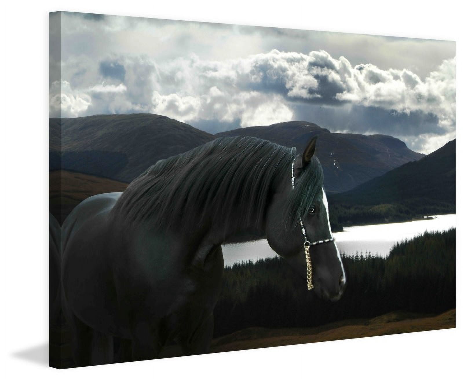Marmont Hill "Solitude and Wander" by Maggie Dee Painting Print on Canvas