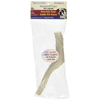 Best Buy Bones 395033 8-9-Inch Amer Elk Antleraged For Pets,