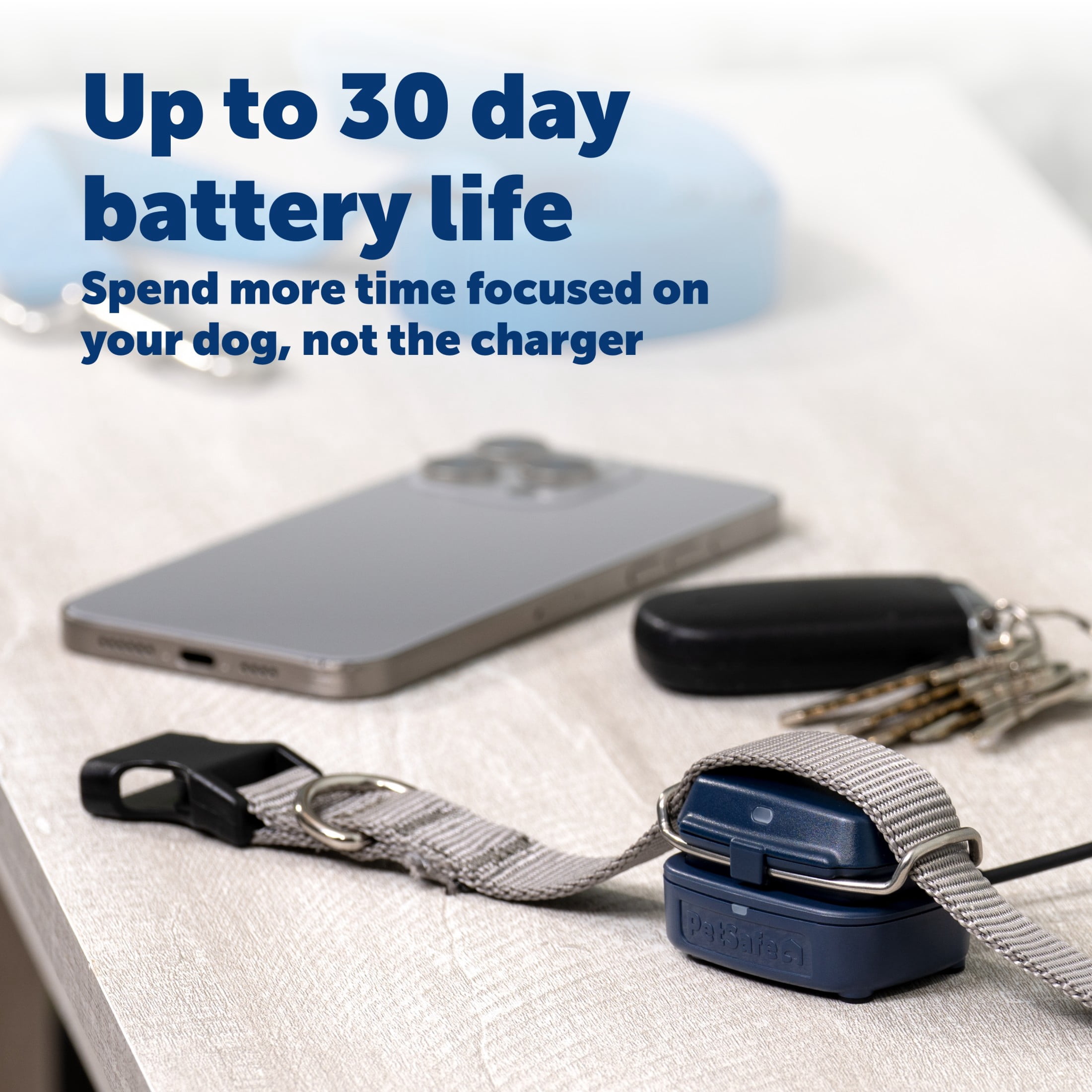 PetSafe GPS Dog Tracker, Real-Time Tracking, Subscription Required | Escape Alerts and Notifications  Activity Monitoring