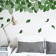 thumbnail image 3 of Green Leaves Wall Decals Plants Wall Stickers for Living Room, Fresh Eucalyptus Leaves Plants Wall Decor Posters Vinyl Removable Wall Art Murals for B, 3 of 4