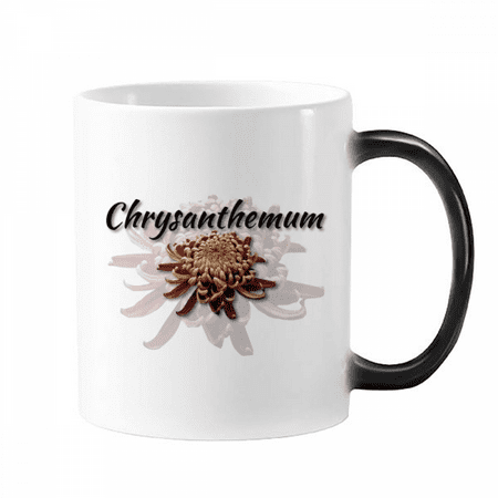 

Flowers Chrysanthemums Blossom Beautifully Mug Changing Color Cup Morphing Heat Sensitive 12oz