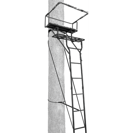 Big Game 15' Two-man Ladderstand w/ Realtree Padded (Best Rated Tree Stands)