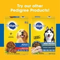 PEDIGREE Complete Nutrition Adult Dry Dog Food Roasted Chicken, Rice