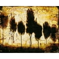thumbnail image 2 of LightBoxJournal 32x26 Black Ornate Wood Framed with Double Matting Museum Art Print Titled - Power of One, 2 of 4