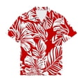 thumbnail image 6 of Sentuca Summer Boys Shirts Short Sleeve Button-down Shirts Casual Beach Graphic Tees for Toddler Clothes Size 2 Years, 6 of 7