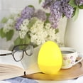 thumbnail image 4 of Lámpara De Huevo De Pascua De, Luz Led De Color Elegante Para Decoración De Huevos, Luz Nocturna Para Decoración Del Hogar, Fiesta Temática De Pascua12 Uds Monstrate HA015785-00, 4 of 5