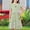 Multicolor A, variant on SGFCWSX Girls Short Sleeve Midi Dress Kids Crewneck Print Casual Flowy A-Line Dress for Spring Summer Beach Wear Multicolor Size 5-6 Years