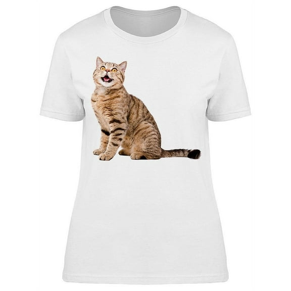 Cute And Funny Cat T-Shirt Women -Image by Shutterstock, Female Medium