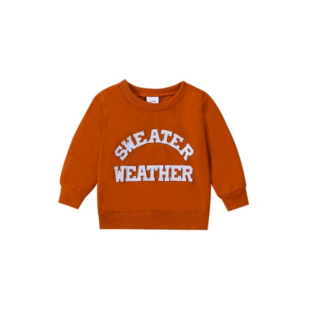 Diconna Sweatshirts Décontractés Automne pour Bébés Filles Manches Longues Col Rond Patch Lettre Coupe Ample Pull