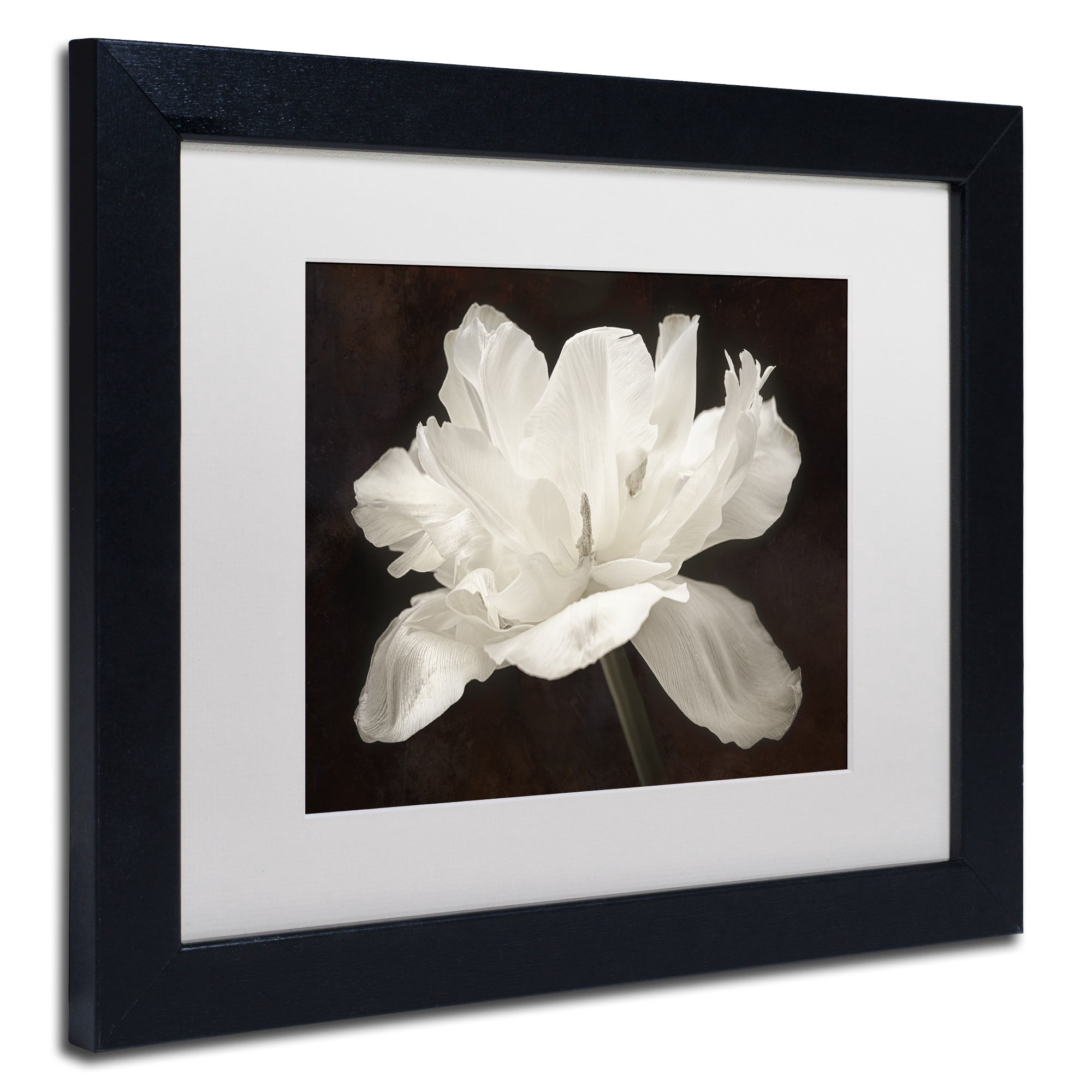 Trademark Fine Art 'White Tulip I' Canvas Art by Cora Niele, White Matte, Wood Frame