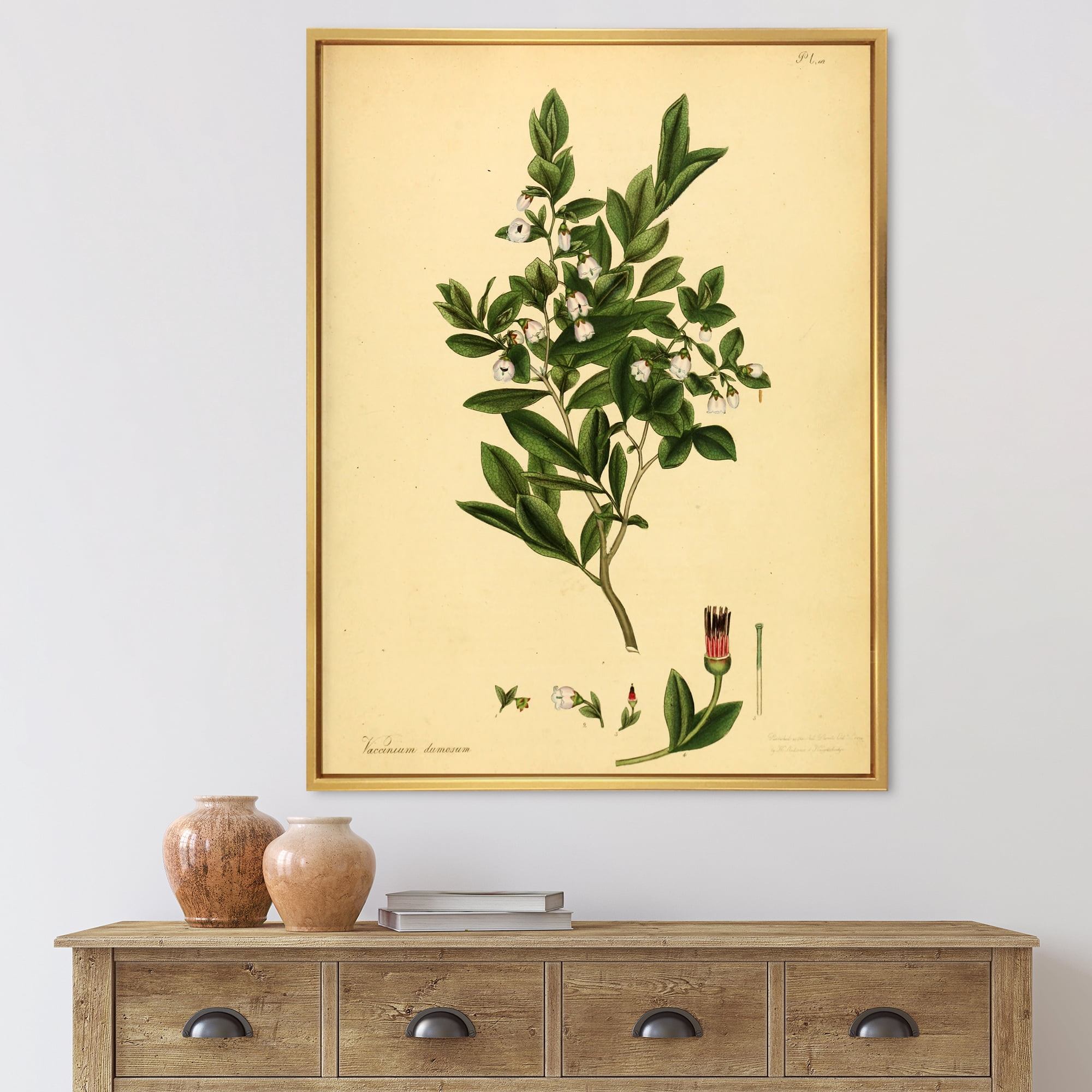 Ancient Plant Life XXV 12 in x 20 in Framed Painting Canvas Art Print, by Designart