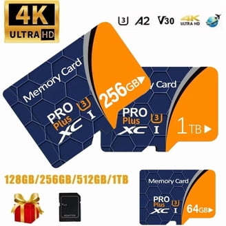 Sony HDR-CX405 Camcorder with 64GB microSDHC Memory Card