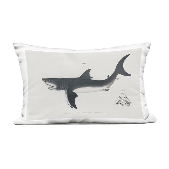 Stupell Industries Detailed Shark Diagram Design by Phillipa Katz Outdoor Printed Pillow