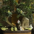 thumbnail image 3 of Decoración Micro del Paisaje Zulema 1 Pieza Micro Paisaje Animal Miniatura Jardín de Hadas, 3 of 7