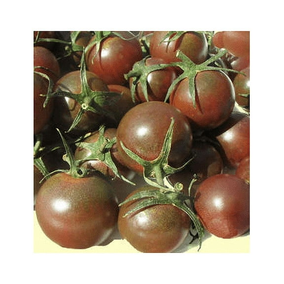Tomato Black Cherry Great Garden Heirloom Vegetable by Seed Kingdom BULK 1 Oz Seeds