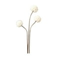 thumbnail image 4 of Flores secas para arreglos florales hechos a mano, accesorios de fotografía, centro de mesa rústico con plantas secas para fiestas en el dormitorio Estilo K, 4 of 8