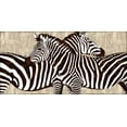 thumbnail image 2 of Davison, Darren 18x11 Black Ornate Wood Framed with Double Matting Museum Art Print Titled - Zebra Gathering, 2 of 4
