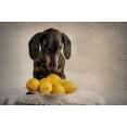 thumbnail image 2 of Willers, Heike 24x17 Black Ornate Wood Framed with Double Matting Museum Art Print Titled - When Life Gives You Lemons..., 2 of 4