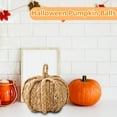 thumbnail image 3 of Hand-Woven Straw Pumpkin Decor - Braided Jute Ball with Twine Pattern for Coffee Table,Bookshelf,Rustic Fall Decor, 3 of 5