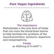 nbpure Methyl Folate Vitamin B9 Spray Supplement, Liquid Folic Acid Spray, 1 fl oz