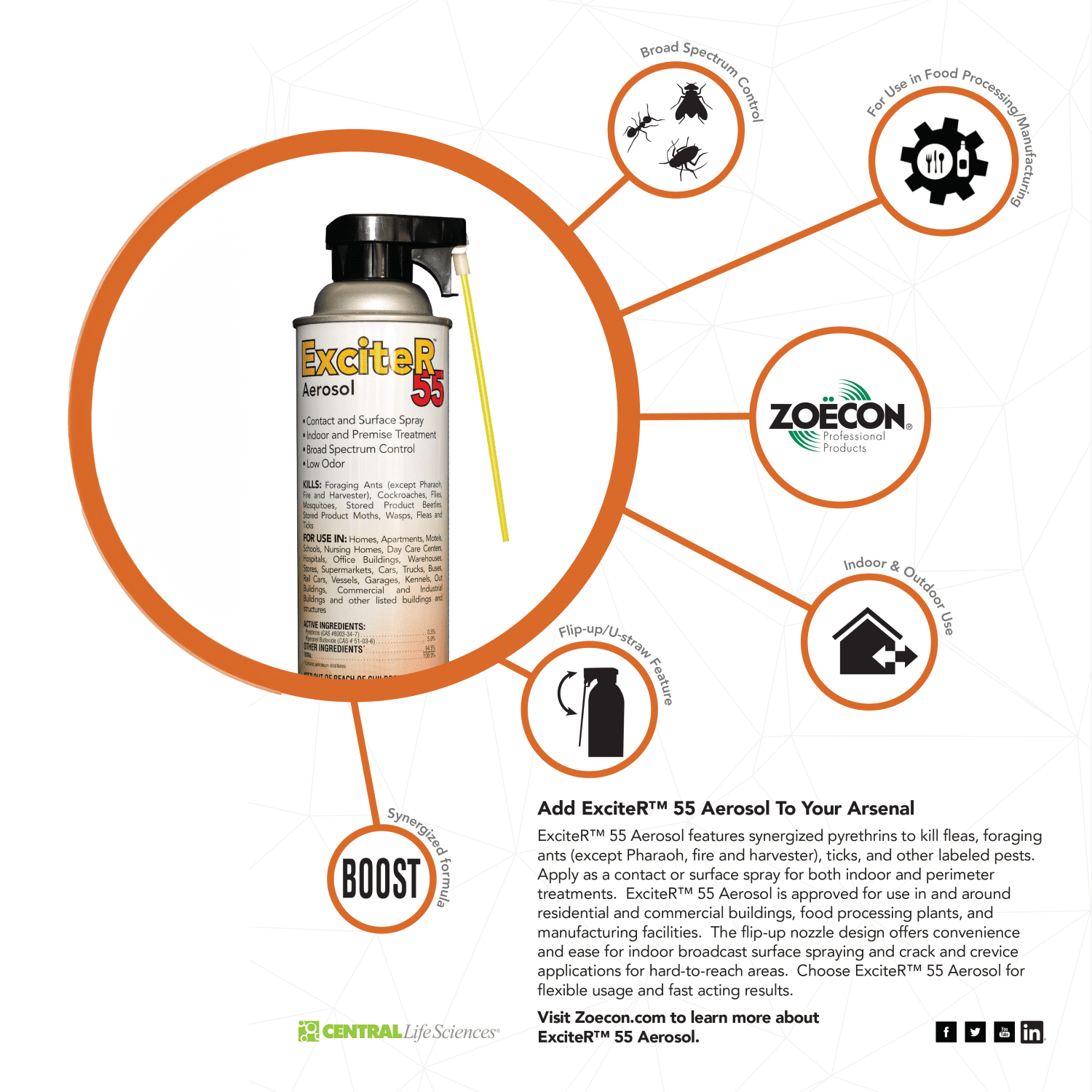 ExciteR 55 Aerosol - 18 fl oz Bottle by Zoecon