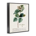 thumbnail image 3 of Stupell Industries Cottage Scientific Botanical Plant Seeds Black Framed Giclee Art, 11 x 14, by Unknown Artist, 3 of 7