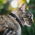 thumbnail image 2 of Buckle-Down Breakaway Cat Collar With Bell, Plastic Clip, Easy Adjustable, Fleur De Lis Printed Studs Black Grays, 8.5 to 12 Inches 0.5 Inch Wide, 2 of 4