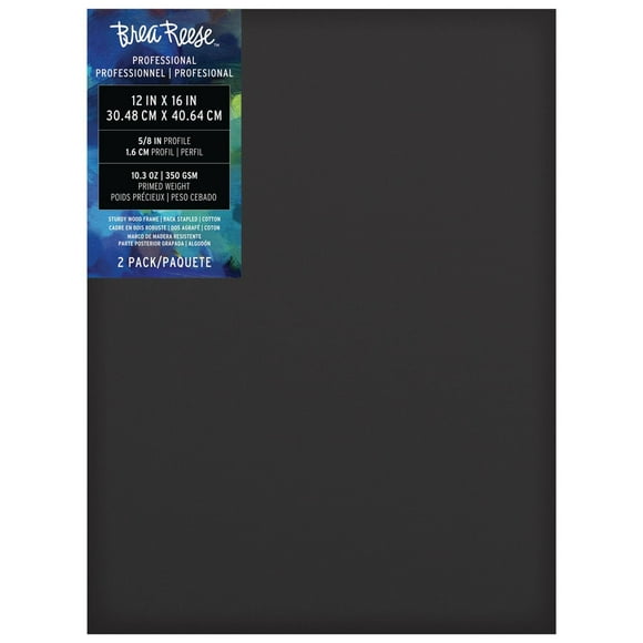 Brea Reese Toile Professionnelle Noir: 30.48 x 40.64 cm, 2 pz