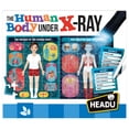 thumbnail image 3 of The Human Body Under X-Ray | Bundle of 10 Each, 3 of 4